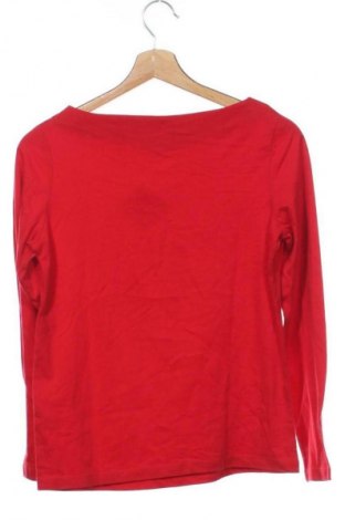 Damen Shirt Street One, Größe XS, Farbe Rot, Preis € 23,99
