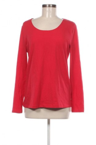 Damen Shirt Taifun, Größe XL, Farbe Rot, Preis € 28,99