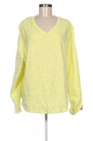 Damen Shirt Ulla Popken, Größe XXL, Farbe Grün, Preis 45,99 €