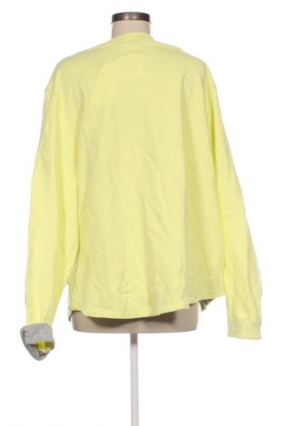 Damen Shirt Ulla Popken, Größe XXL, Farbe Grün, Preis 45,99 €
