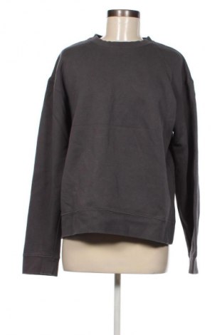Damen Shirt Zara, Größe L, Farbe Grau, Preis € 9,99