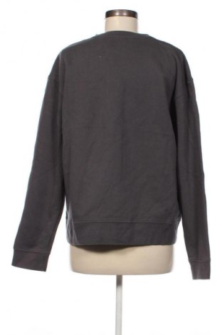 Damen Shirt Zara, Größe L, Farbe Grau, Preis € 9,99