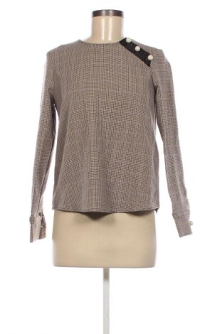 Damen Shirt Zara, Größe S, Farbe Mehrfarbig, Preis 7,99 €
