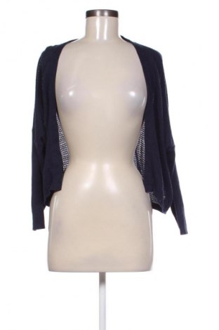 Damen Strickjacke 17 & Co., Größe XL, Farbe Blau, Preis 31,99 €
