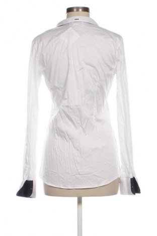 Damenbluse Aglini, Größe XL, Farbe Weiß, Preis 48,99 €