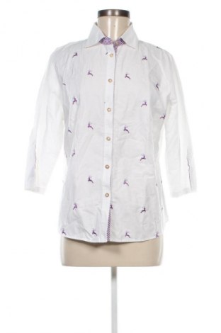 Damenbluse Arido, Größe XL, Farbe Mehrfarbig, Preis € 11,99