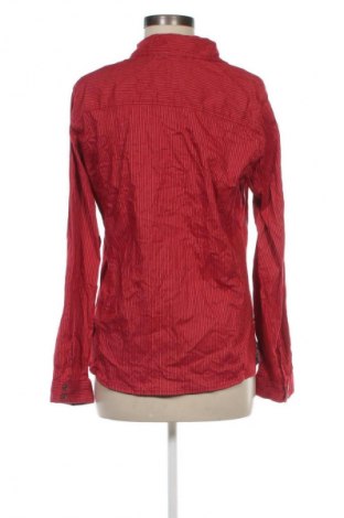 Damenbluse Cecil, Größe M, Farbe Mehrfarbig, Preis 13,99 €