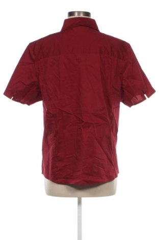 Damenbluse Cecil, Größe XL, Farbe Rot, Preis € 23,99