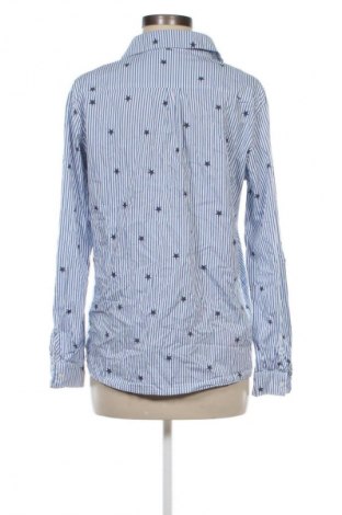 Damenbluse Clarina Collection, Größe L, Farbe Mehrfarbig, Preis € 8,99