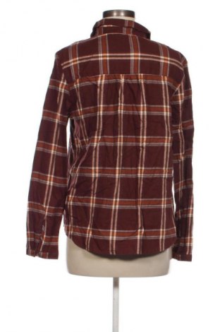 Damenbluse Clockhouse, Größe M, Farbe Mehrfarbig, Preis 8,99 €