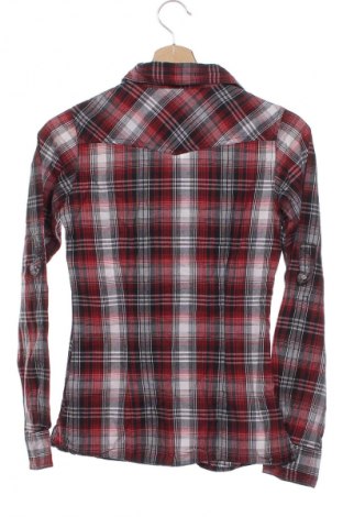 Damenbluse Clockhouse, Größe XS, Farbe Mehrfarbig, Preis 17,99 €