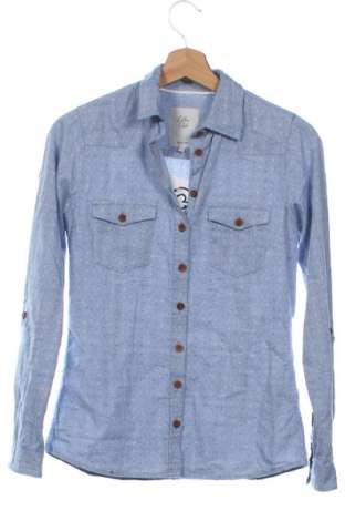 Damenbluse Cotton Club, Größe XS, Farbe Blau, Preis 7,99 €