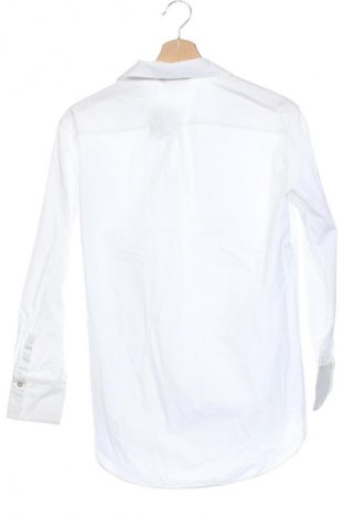 Damenbluse Massimo Dutti, Größe XS, Farbe Weiß, Preis 34,99 €