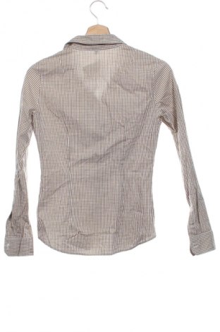 Damenbluse Montego, Größe XS, Farbe Mehrfarbig, Preis 7,99 €