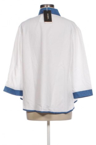 Damenbluse Unbranded, Größe XXL, Farbe Mehrfarbig, Preis 27,99 €