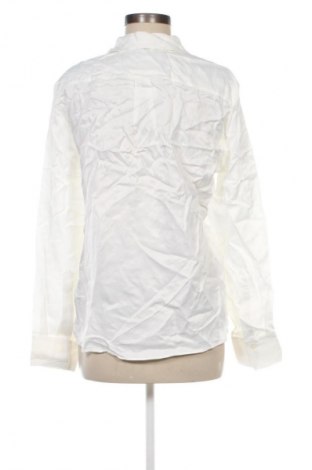Damenbluse Zara, Größe L, Farbe Weiß, Preis € 18,99