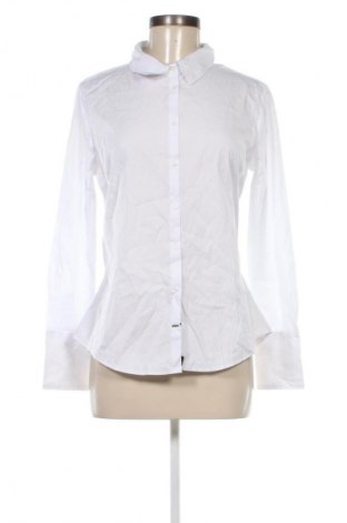 Damenbluse Zara, Größe L, Farbe Weiß, Preis 8,99 €