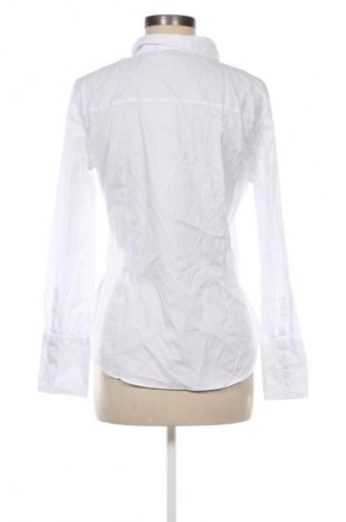 Damenbluse Zara, Größe L, Farbe Weiß, Preis 8,99 €