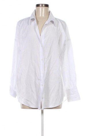 Damenbluse Zara, Größe XL, Farbe Weiß, Preis 7,99 €