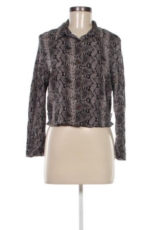 Damenbluse Zara Trafaluc, Größe S, Farbe Mehrfarbig, Preis 18,99 €