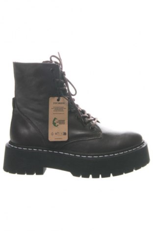 Damen Stiefeletten Steve Madden, Größe 39, Farbe Braun, Preis 184,99 €