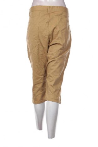 Damskie jeansy CedarWood State, Rozmiar XXL, Kolor Beżowy, Cena 34,99 zł