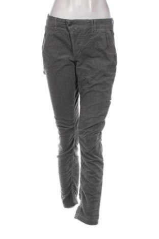 Damskie sztruksy Drykorn for beautiful people, Rozmiar S, Kolor Szary, Cena 338,99 zł