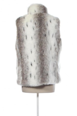 Damenweste Authentic Clothing Company, Größe L, Farbe Mehrfarbig, Preis 26,99 €