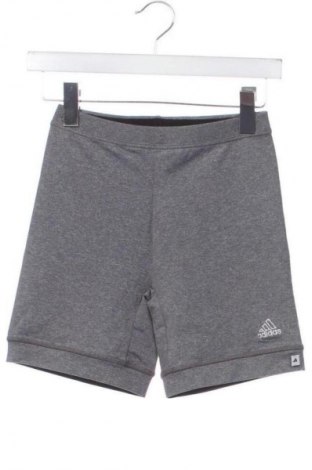 Damen Shorts Adidas, Größe XS, Farbe Grau, Preis € 20,99