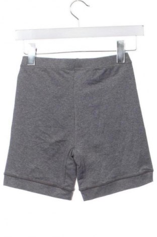 Damen Shorts Adidas, Größe XS, Farbe Grau, Preis € 20,99