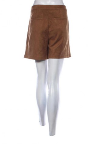 Damen Shorts Breal, Größe XL, Farbe Braun, Preis € 23,99