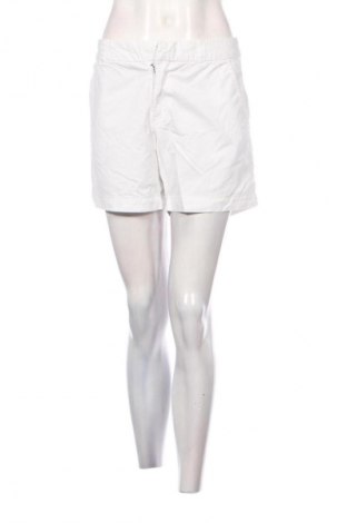 Damen Shorts Hema, Größe L, Farbe Weiß, Preis 13,99 €