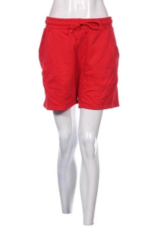 Damen Shorts Oceans Apart, Größe S, Farbe Rot, Preis 23,99 €