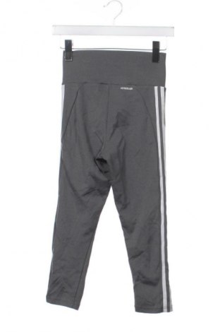 Dámské legíny  Adidas, Velikost XS, Barva Šedá, Cena  549,00 Kč
