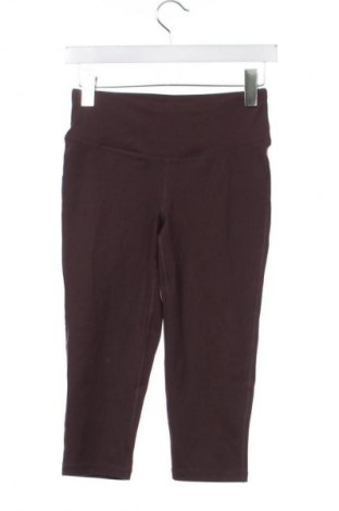 Colant de femei Essentials by Tchibo, Mărime XS, Culoare Maro, Preț 27,99 Lei