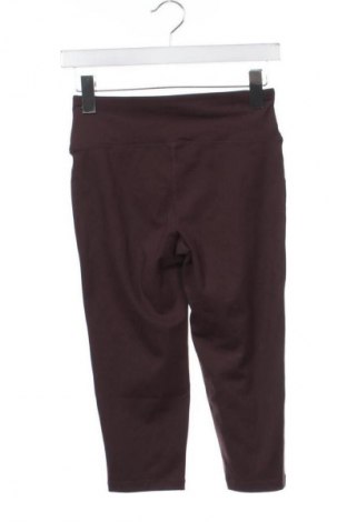 Colant de femei Essentials by Tchibo, Mărime XS, Culoare Maro, Preț 27,99 Lei