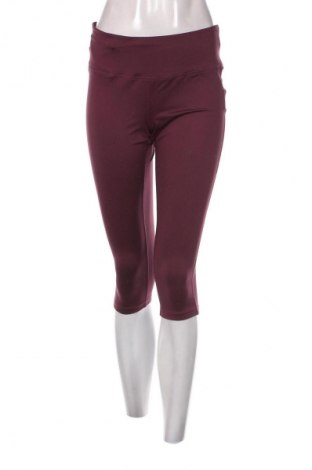 Dámske legíny  Essentials by Tchibo, Veľkosť M, Farba Fialová, Cena  7,95 €