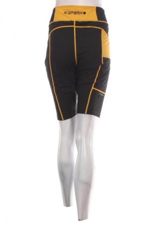 Damen Leggings Icepeak, Größe XL, Farbe Schwarz, Preis 23,99 €