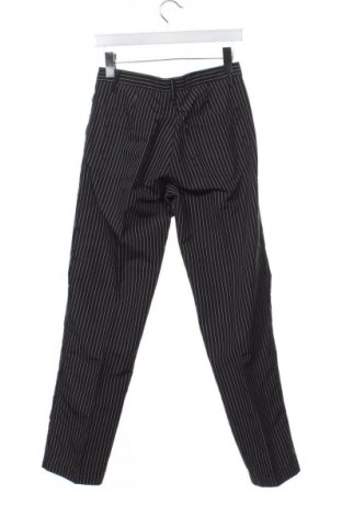 Damskie spodnie Abacus, Rozmiar XS, Kolor Kolorowy, Cena 203,99 zł