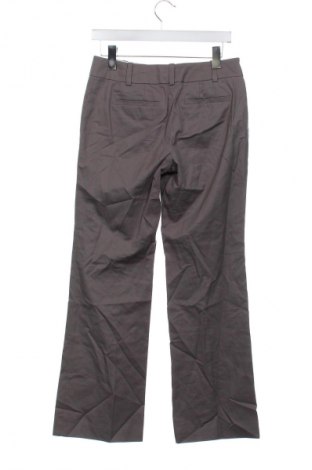 Damenhose Ann Taylor, Größe M, Farbe Aschrosa, Preis € 43,99