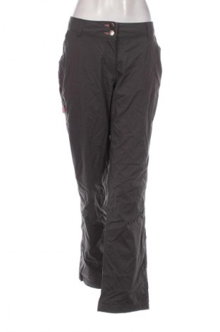 Damenhose Crane, Größe XL, Farbe Grau, Preis 26,99 €