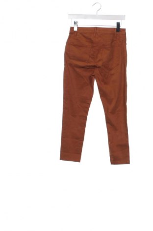 Damenhose Esprit, Größe XS, Farbe Braun, Preis € 11,99