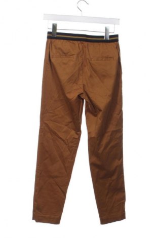 Damenhose Esprit, Größe XS, Farbe Braun, Preis € 11,99