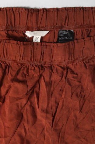 Damenhose H&M, Größe XL, Farbe Braun, Preis € 20,99