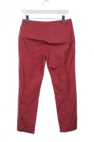 Damenhose Stefanel, Größe XS, Farbe Rot, Preis 23,99 €