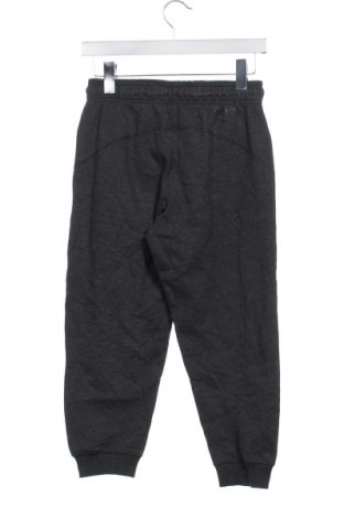 Дамско спортно долнище Ivy Park, Размер XS, Цвят Сив, Цена 41,99 лв.