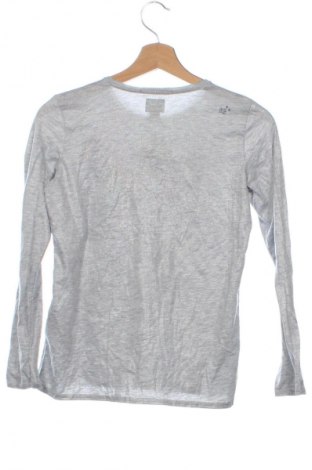 Kinder Shirt Pepe Jeans, Größe 13-14y/ 164-168 cm, Farbe Grau, Preis € 13,99