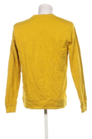 Herren Shirt Petrol Industries, Größe L, Farbe Gelb, Preis 8,99 €