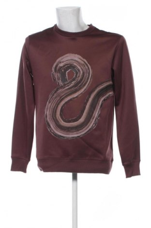 Herren Shirt Piazza Italia, Größe M, Farbe Mehrfarbig, Preis € 13,99