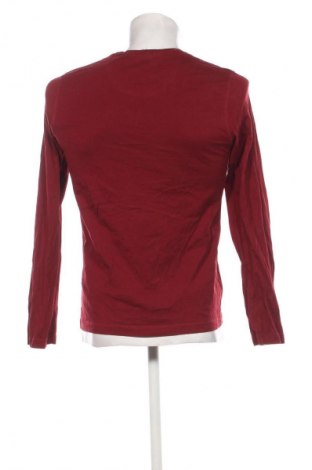 Herren Shirt S.Oliver, Größe M, Farbe Rot, Preis 18,99 €